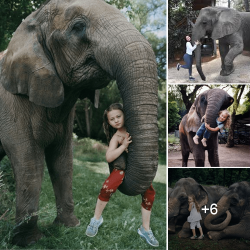 The Incredible Story of an Elephant Mama Saving a Little Girl from Harm
